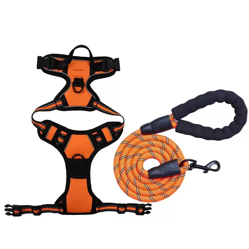 Bllstar No Pull Dog Harness for Large Dogs, Adjustable Soft Padded Oxford Pet Vest with 2 Leash Clips and Easy Control Handle, No Choke Dog Vest, Black